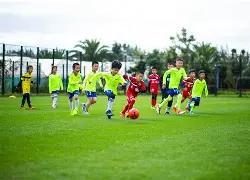 刘国梁遭遇,屈辱,被迫协助王,太阳城,太阳城娱乐,太阳城app,太阳城赌场